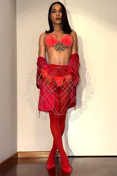 Foto 8 di Bella Xxl transescort Milano