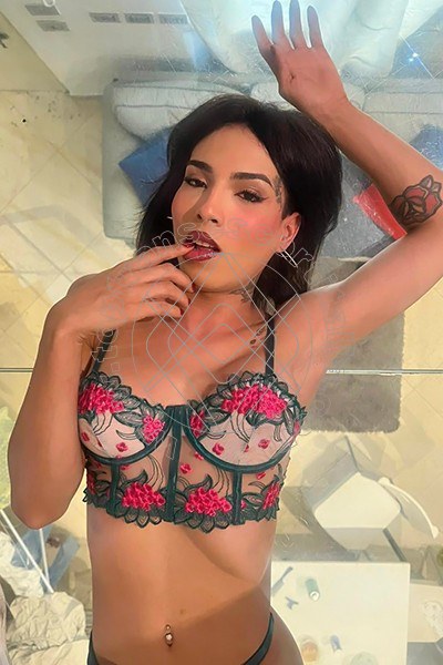 Foto 8 di Arielli Collins transescort Roma