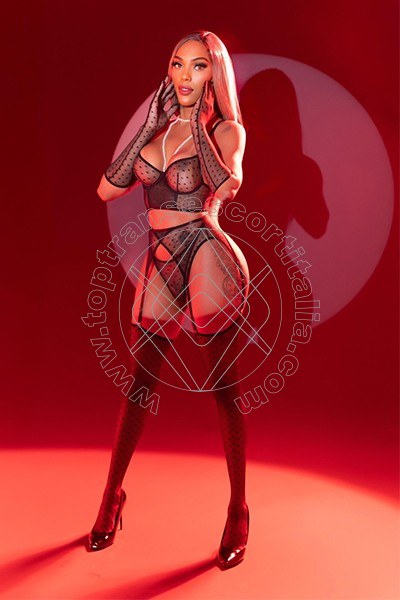 Foto 12 di Barbie Black transescort Milano
