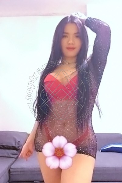 Foto 15 di Massiel transescort Verona