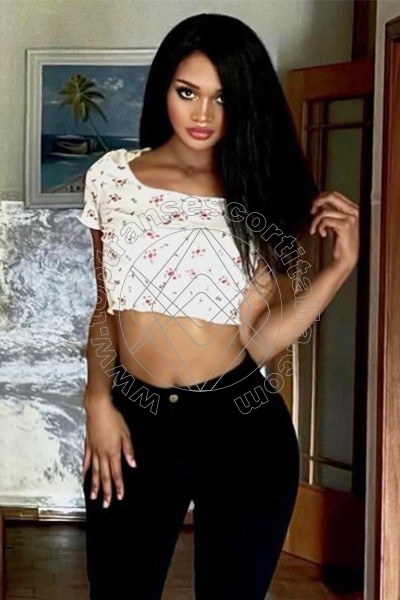 Foto 16 di Evelyn Domenicana transescort Cuneo