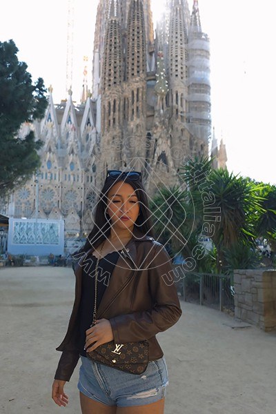 Foto 14 di Arianna transescort Barcellona