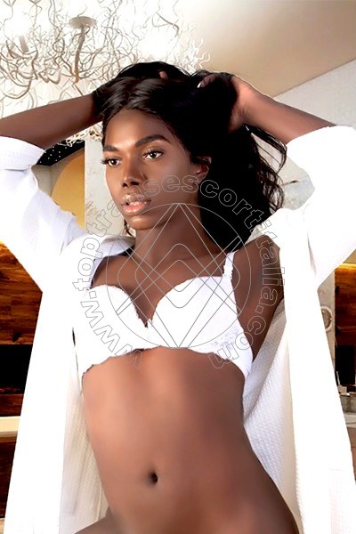 Foto 26 di Safira Sant'z transescort Milano