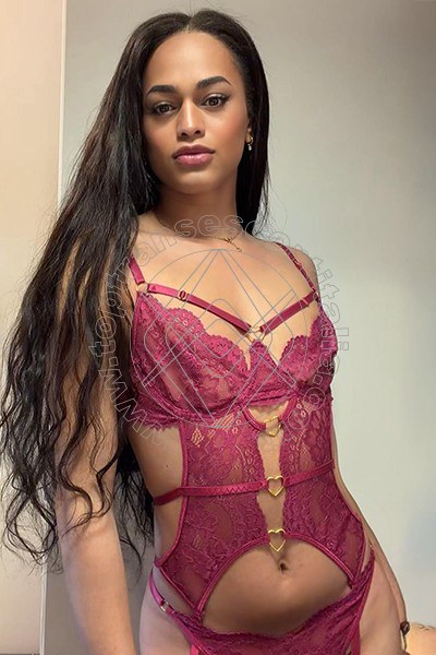 Foto 18 di Victoria New transescort Bologna