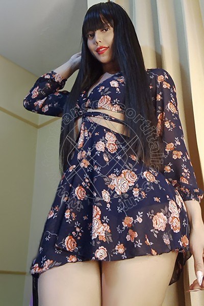 Foto 5 di Ariel Rojas transescort Rimini