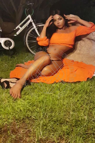 Foto 63 di Sabrina Hemolly transescort Milano