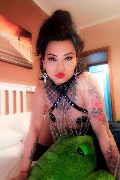 Foto 185 di Jj La Numero Uno transescort Palermo