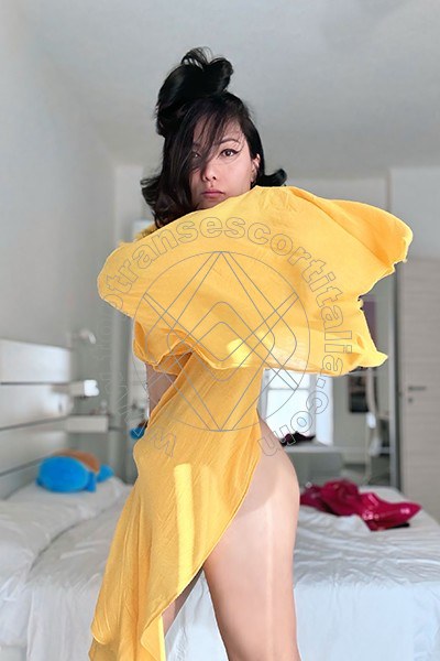 Foto 111 di Jj La Numero Uno transescort Palermo
