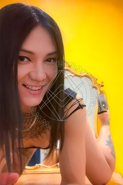 Foto 10 di Jj La Numero Uno transescort Palermo