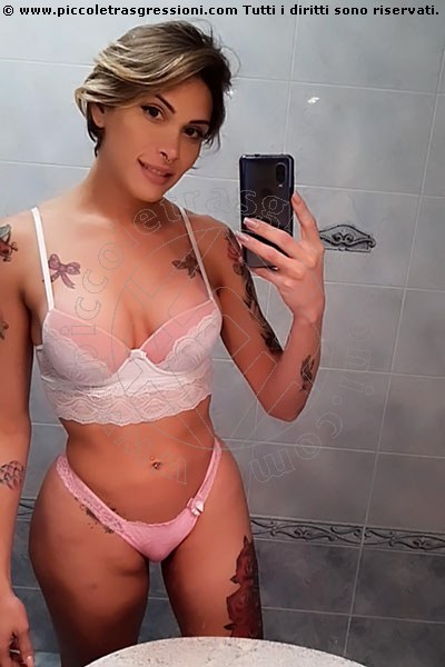 Foto selfie 1 di Sophia xxl transescort Chambéry
