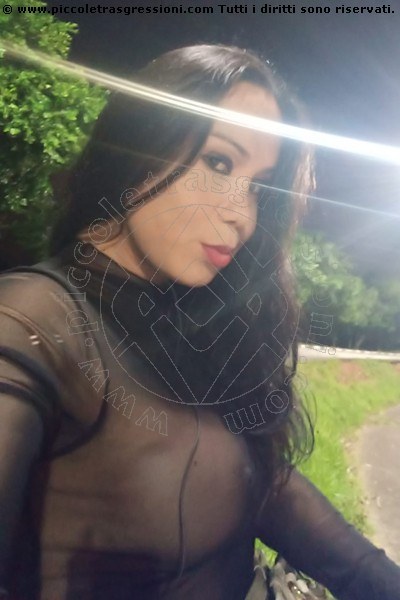 Foto selfie 1 di Malú Diniz transescort Barueri