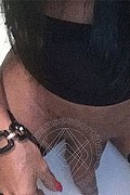 Foto selfie hot 1 di Meg Castellani transescort Cinisello balsamo