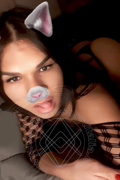 Foto selfie 66 di Iris Bachi transescort Reggio Emilia