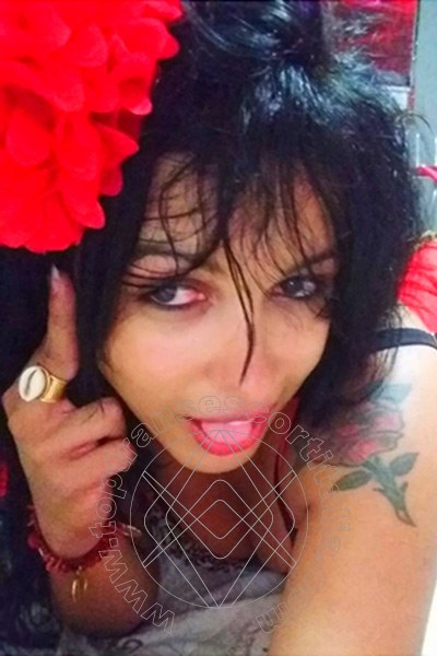 Foto selfie 168 di Melissa Baiana transescort Napoli