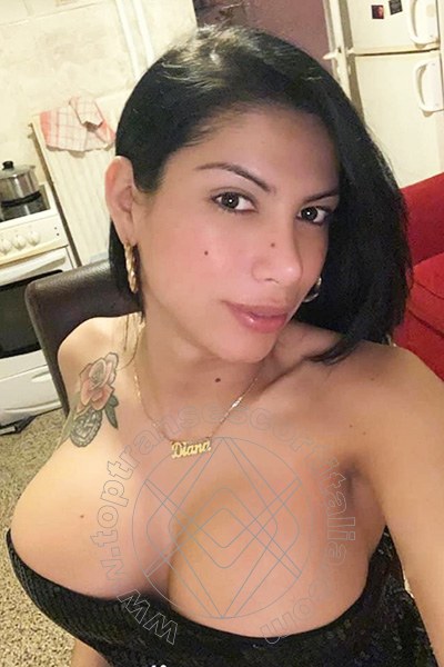 Foto selfie 9 di Morosita Sexy transescort Roma