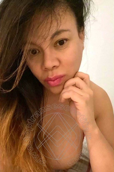 Foto selfie 164 di Elena transescort Pordenone