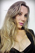  Porto Alegre Sheila Rodrigues 0055.5180504601 foto selfie 9