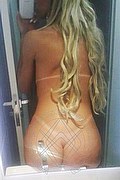 Foto selfie 2 di Paolla  Ferrari transescort San paolo