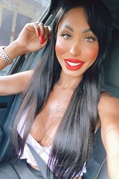 Foto selfie 73 di Thayys Castro transescort Verona
