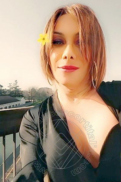 Foto selfie 14 di Ambra Tx Italiana transescort Udine