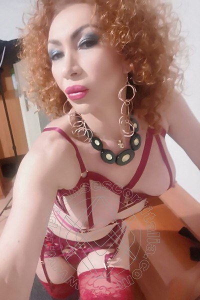 Foto selfie 32 di Leslyn transescort Piacenza