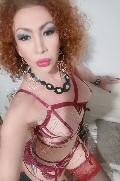 Foto selfie 30 di Leslyn transescort Piacenza
