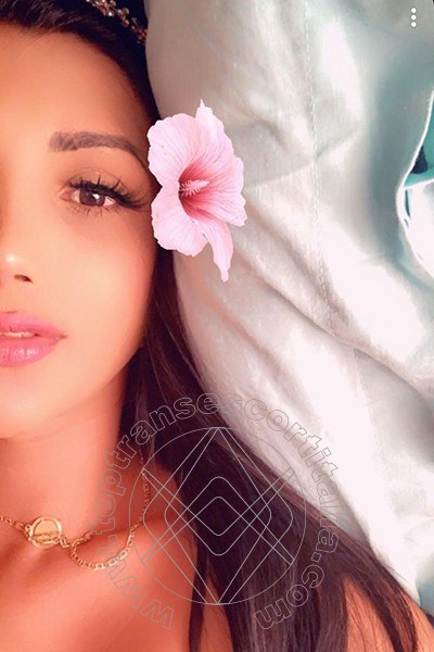 Foto selfie 40 di Graziella Farias transescort Ospitaletto