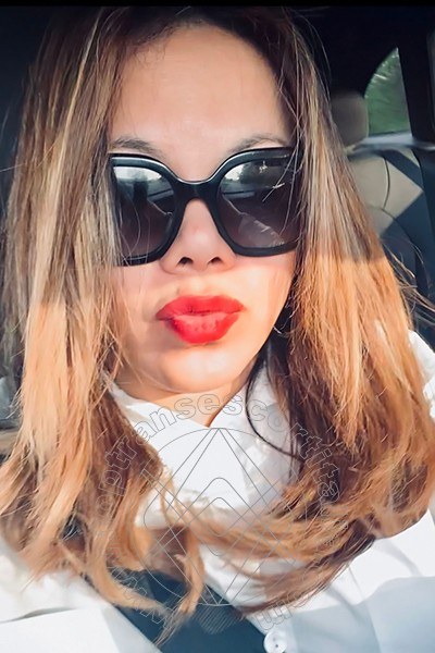 Foto selfie 150 di Elena transescort Pordenone