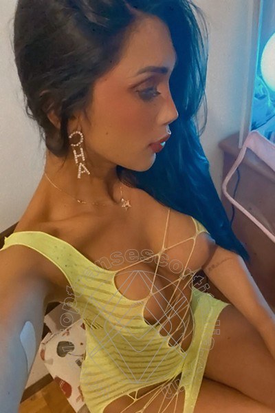 Foto selfie 19 di Graziella Farias transescort Ospitaletto