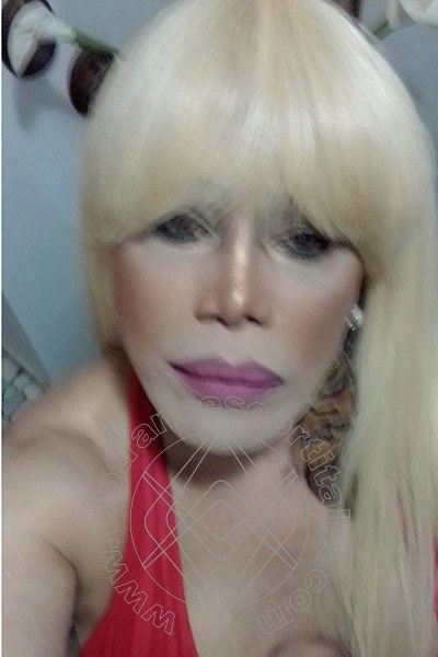 Foto selfie 725 di Nicole Vip Venturiny transescort Milano