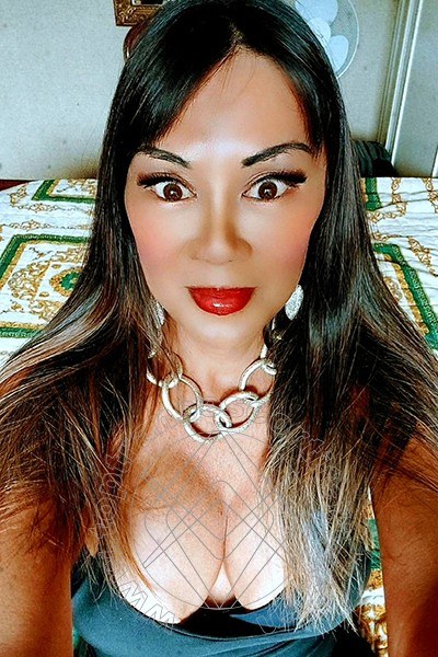 Foto selfie 27 di Vanessa Midori transescort Marina Di Montemarciano
