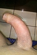 Foto selfie hot 2 di Regina transescort Gorizia