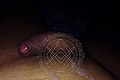  Roma Nathalie 339.6331329 foto selfie 6
