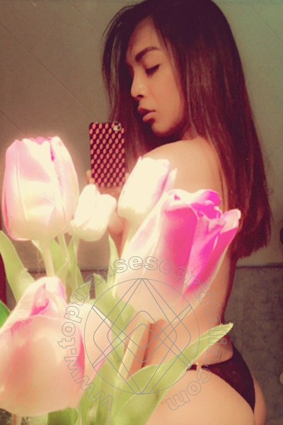 Foto selfie 19 di Mulan Asiatica transescort Genova