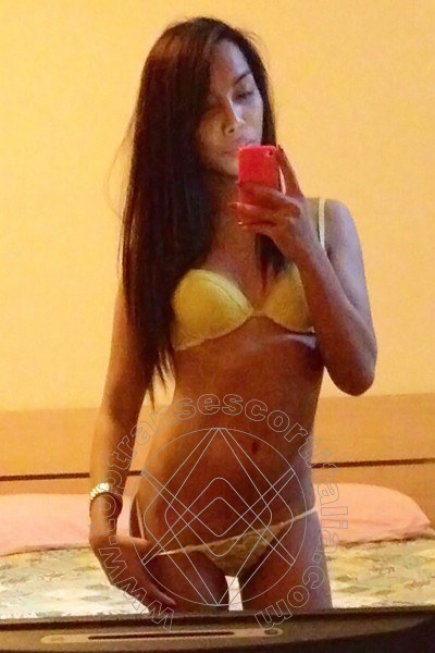 Foto selfie 47 di Mulan Asiatica transescort Milano