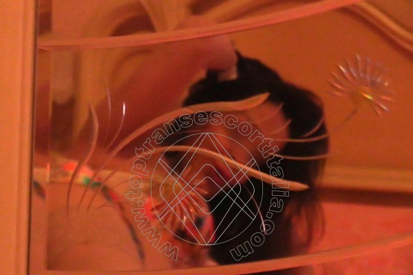Foto selfie 51 di Belen transescort Torino