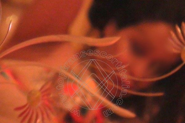 Foto selfie 50 di Belen transescort Torino