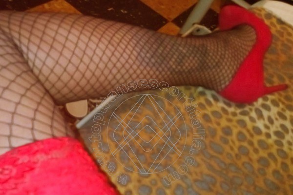 Foto selfie 17 di Sexy Diavolina transescort Villa Rosa