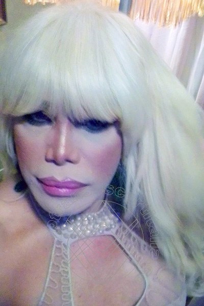 Foto selfie 670 di Nicole Vip Venturiny transescort Milano