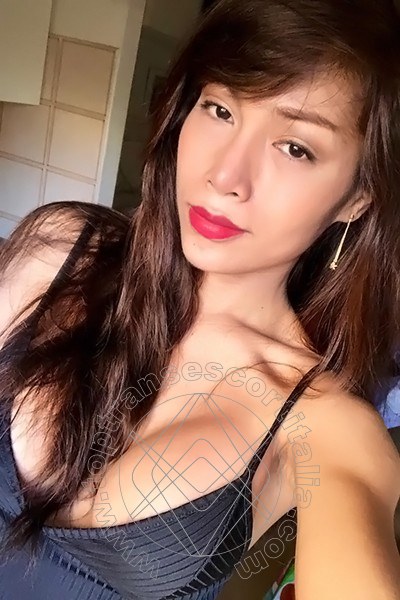 Foto selfie 60 di Liisa Orientale Asiatica Ladyboy transescort Pordenone