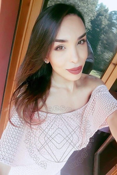 Foto selfie 100 di Fernanda Tavares transescort Parma