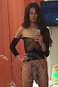 Foto selfie hot di Miranda Pinocchio Pornostar transescort Genova