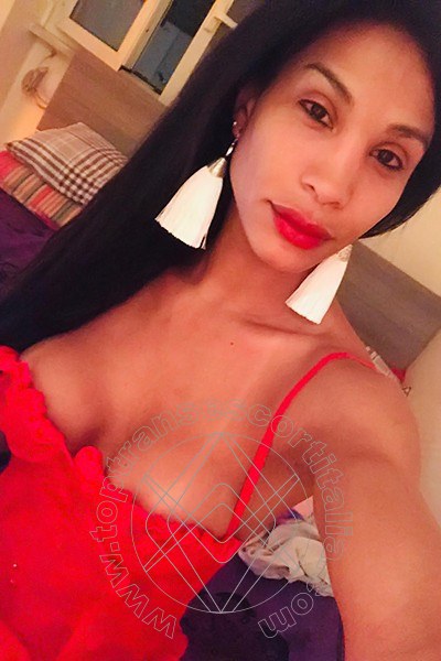 Foto selfie 65 di Mikaella Pimentell Pornostar transescort Roma