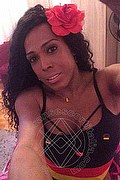  Mestre Paolina Mulatta 333.2910933 foto selfie 24