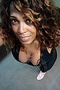 Mestre Paolina Mulatta 333.2910933 foto selfie 17