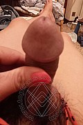 Foto selfie hot 2 di Ladyboy Carlina transescort Chieti
