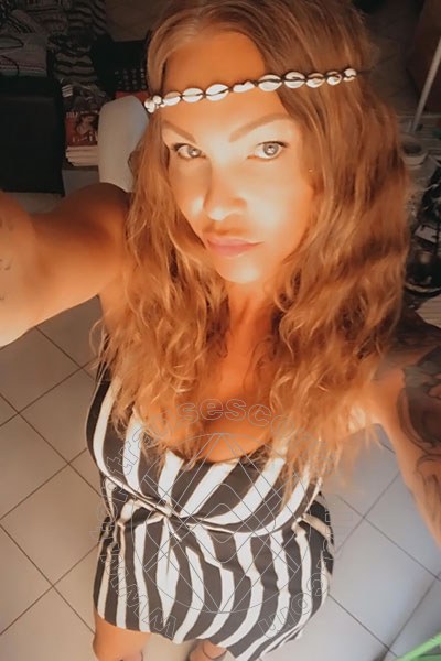Foto selfie 480 di Valeria transescort Treviso