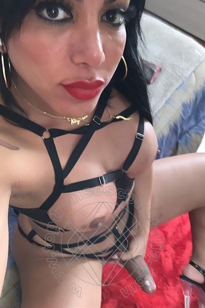 Foto selfie hot 3 di Aylla Gattina Pornostar transescort San Paolo