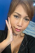 Foto selfie 2 di Liisa Asiatica Ladyboy transescort Genova