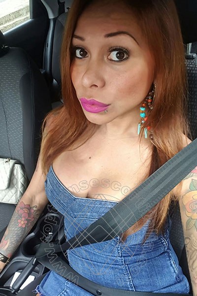 Foto selfie 219 di Alessandra Toledo Pornostar transescort Rimini